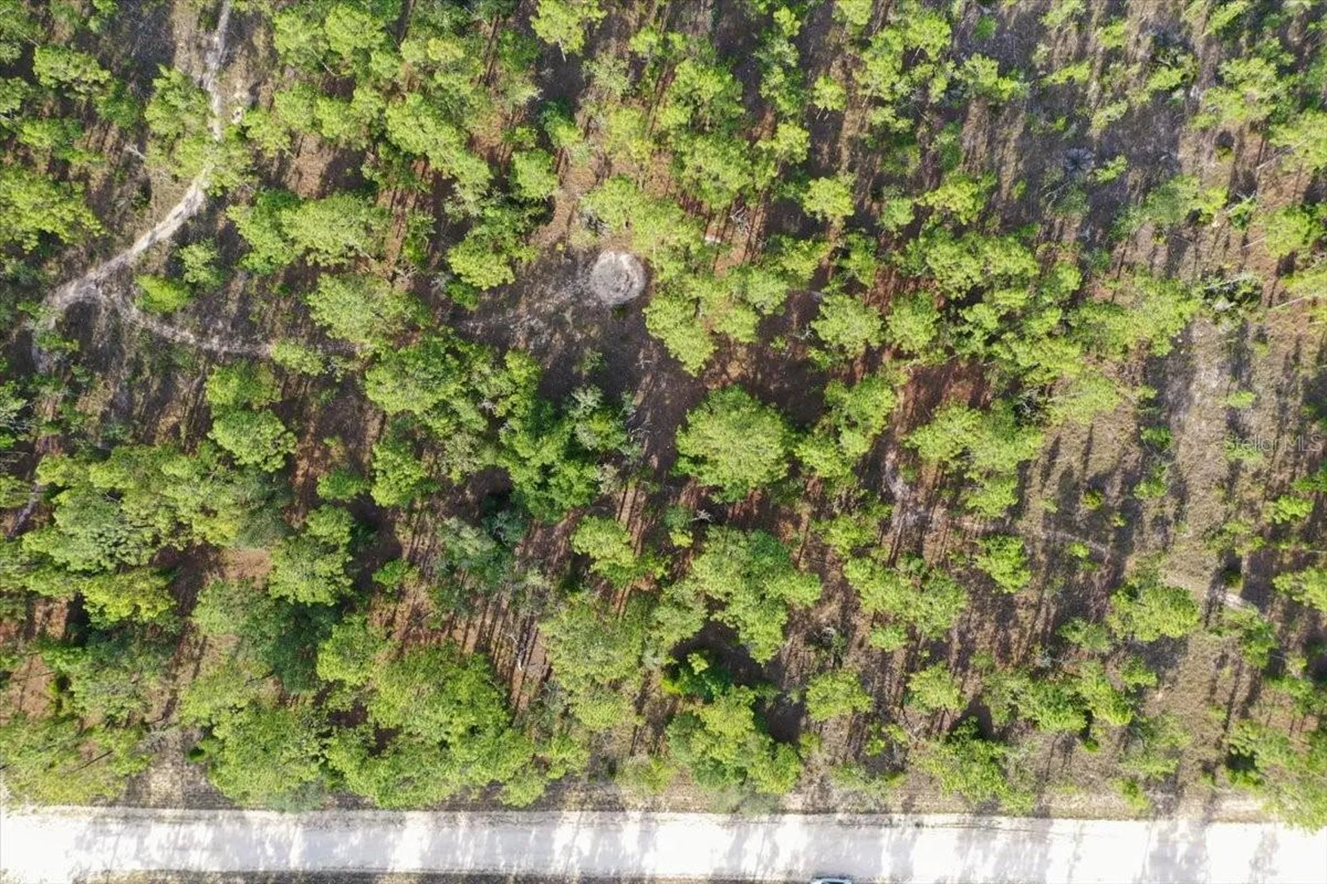 0000 NE 131 Lot 9 Terrace Williston FL 32696