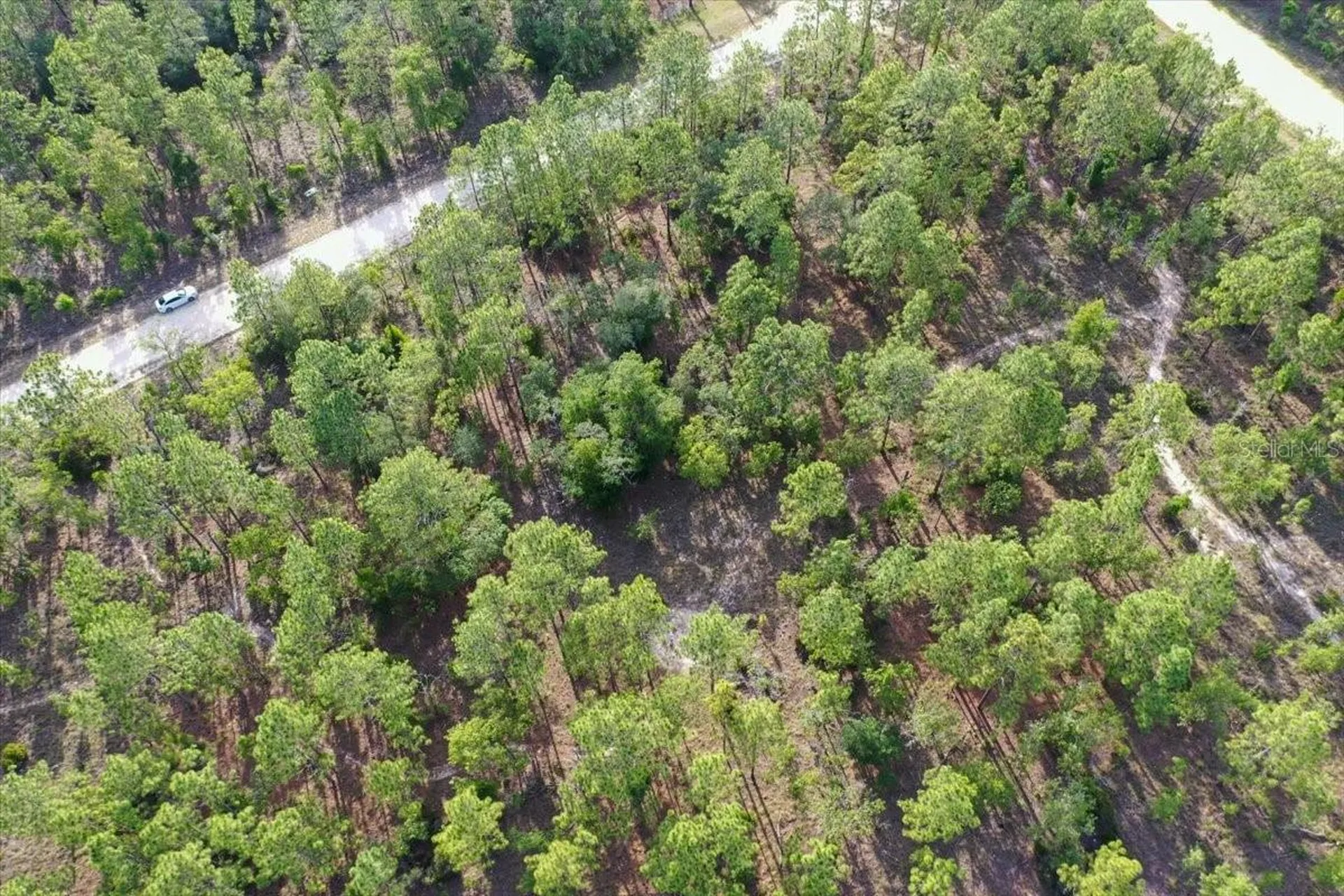 0000 NE 131 Lot 9 Terrace Williston FL 32696