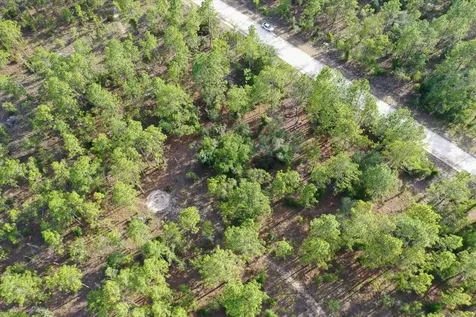 0000 NE 131 Lot 9 Terrace Williston FL 32696