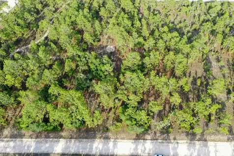 0000 NE 131 Lot 9 Terrace Williston FL 32696