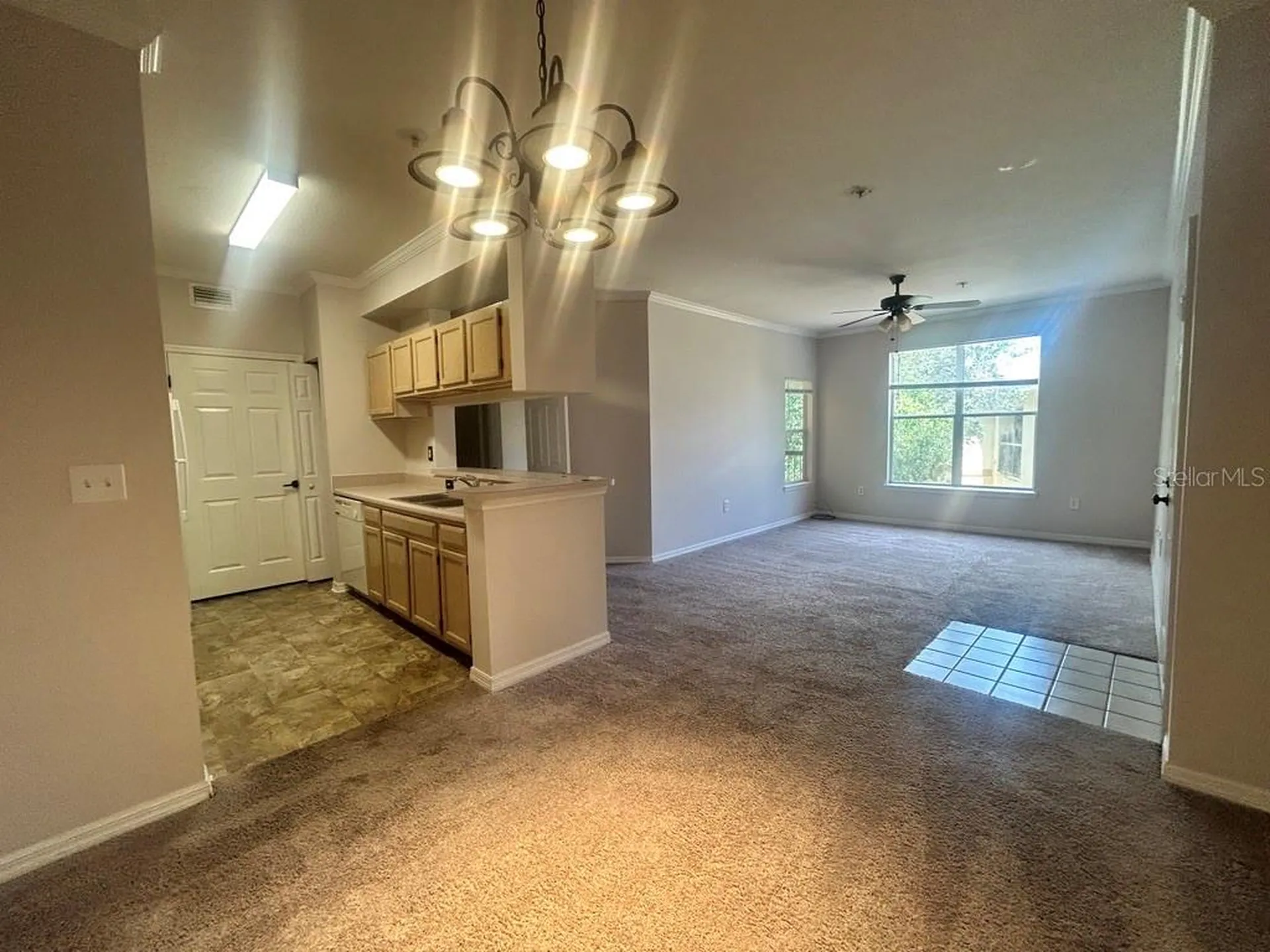 5616 Pinnacle Heights Circle Tampa FL 33624
