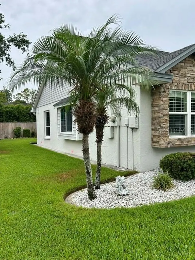 15116 N Roundup Drive Tampa FL 33624