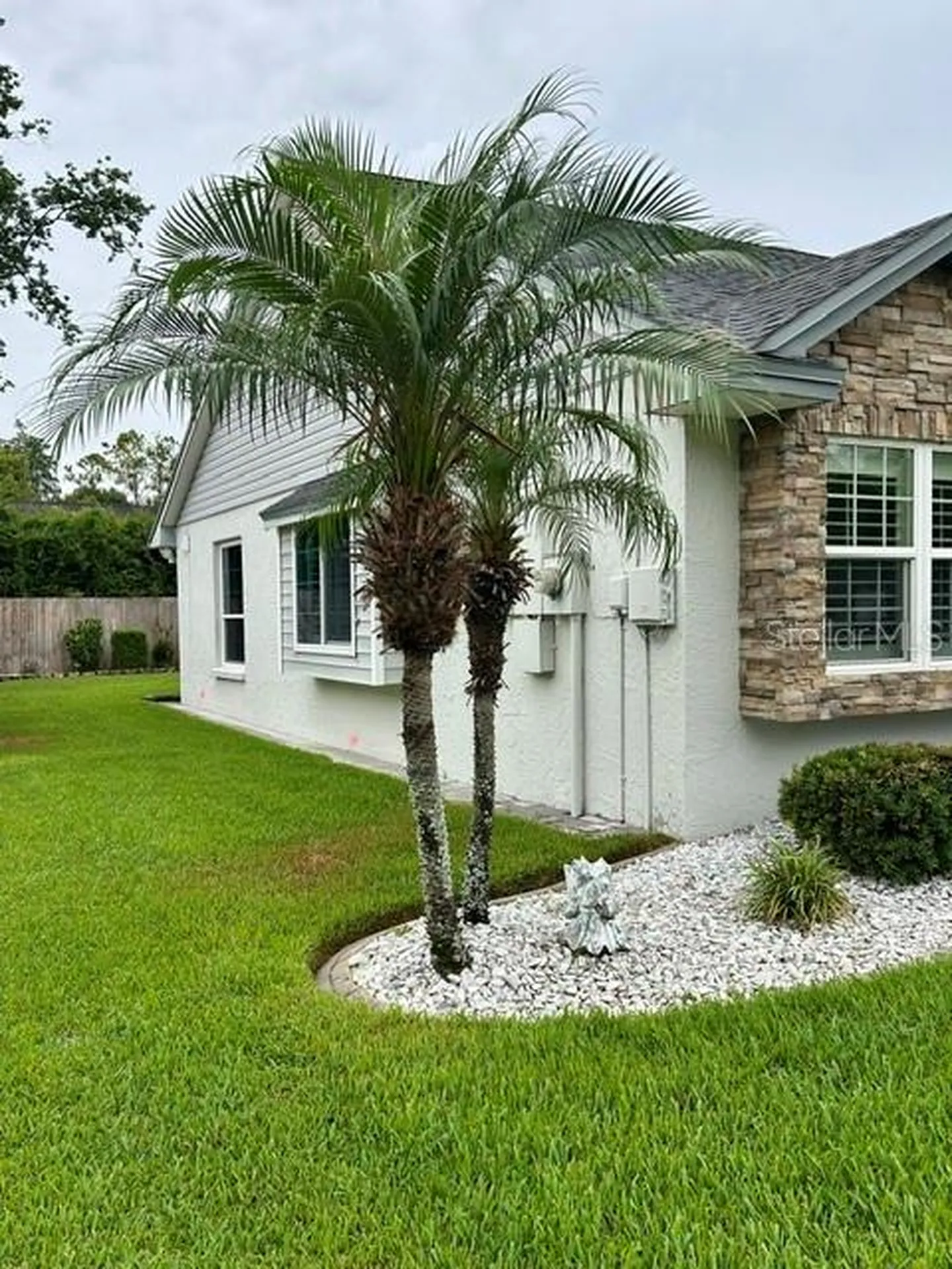 15116 N Roundup Drive Tampa FL 33624
