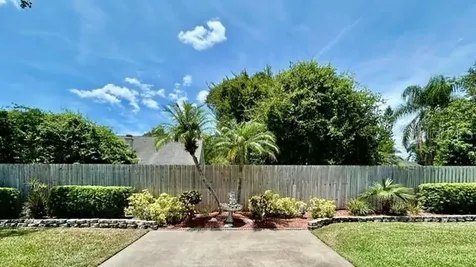 15116 N Roundup Drive Tampa FL 33624