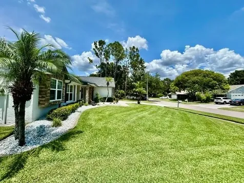 15116 N Roundup Drive Tampa FL 33624