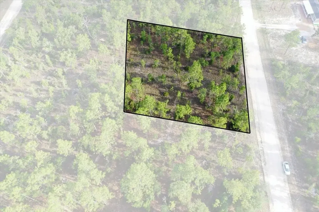 0000 NE 131 Lot 8 Terrace Williston FL 32696