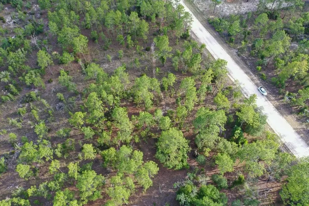 0000 NE 131 Lot 8 Terrace Williston FL 32696