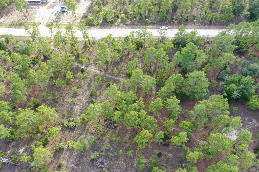 0000 NE 131 Lot 8 Terrace Williston FL 32696