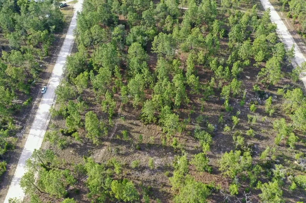 0000 NE 131 Lot 8 Terrace Williston FL 32696