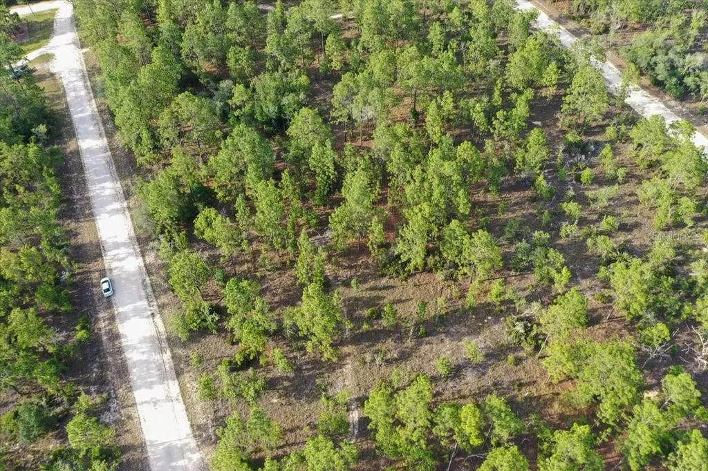 0000 NE 131 Lot 8 Terrace Williston FL 32696