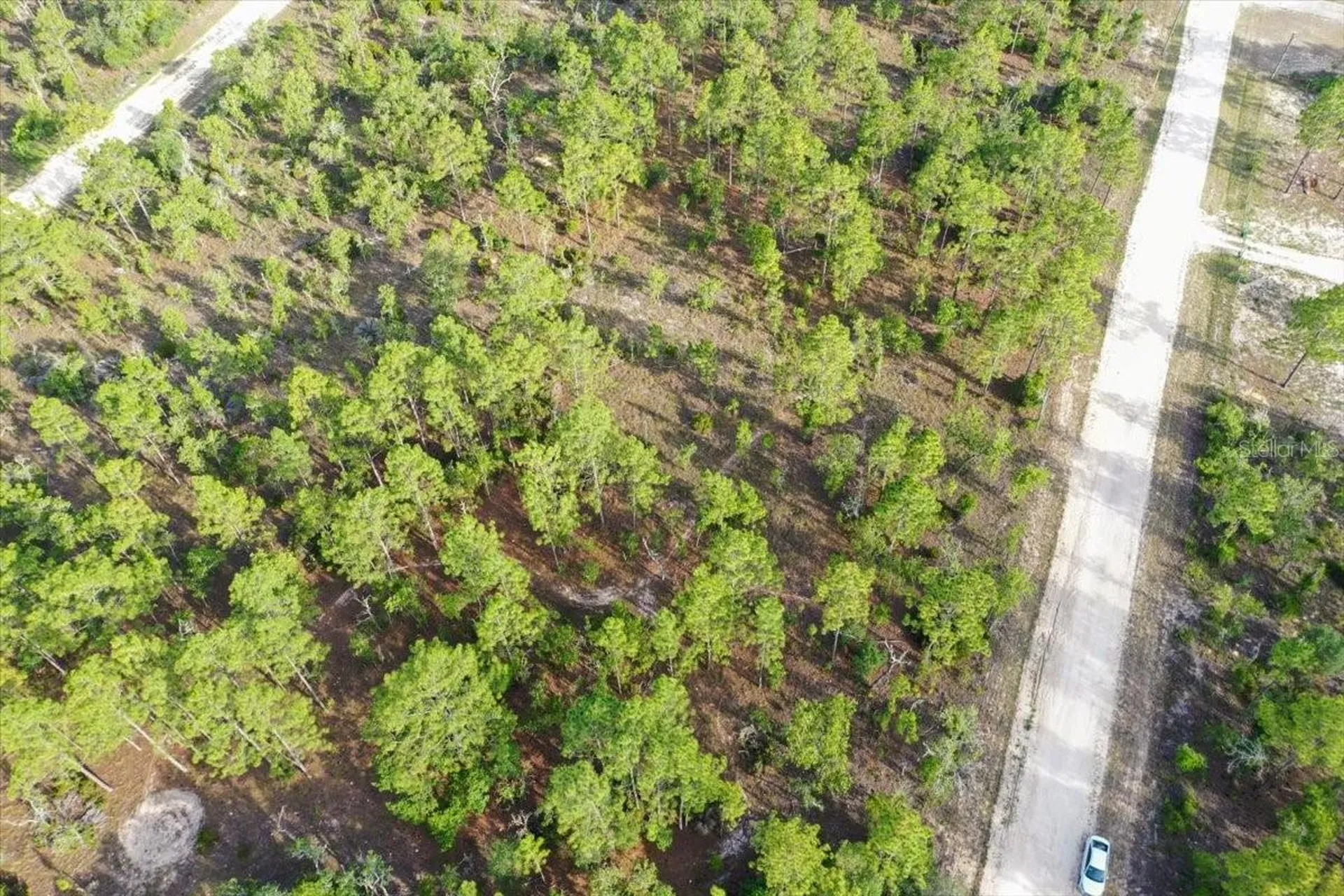0000 NE 131 Lot 8 Terrace Williston FL 32696