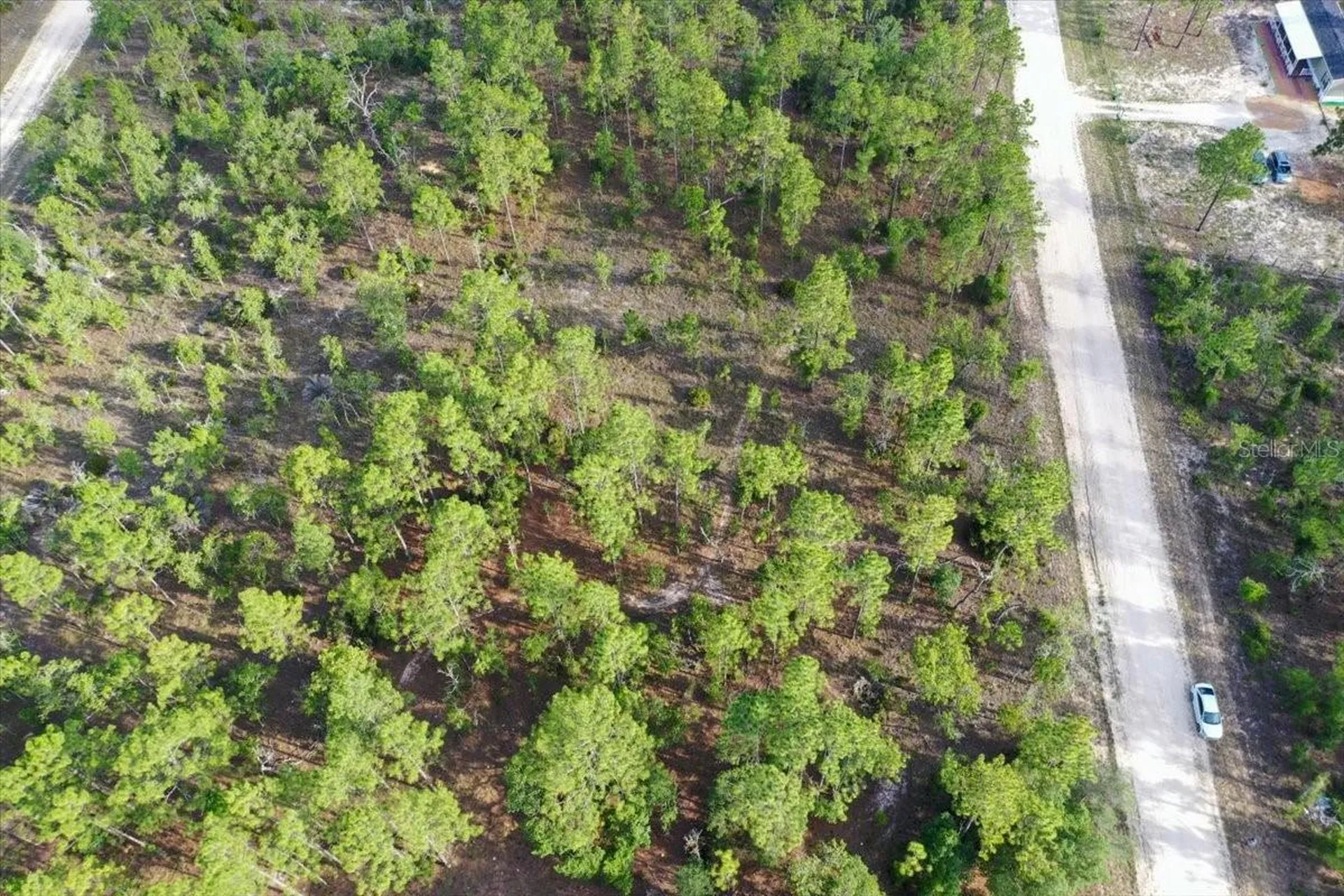 0000 NE 131 Lot 8 Terrace Williston FL 32696