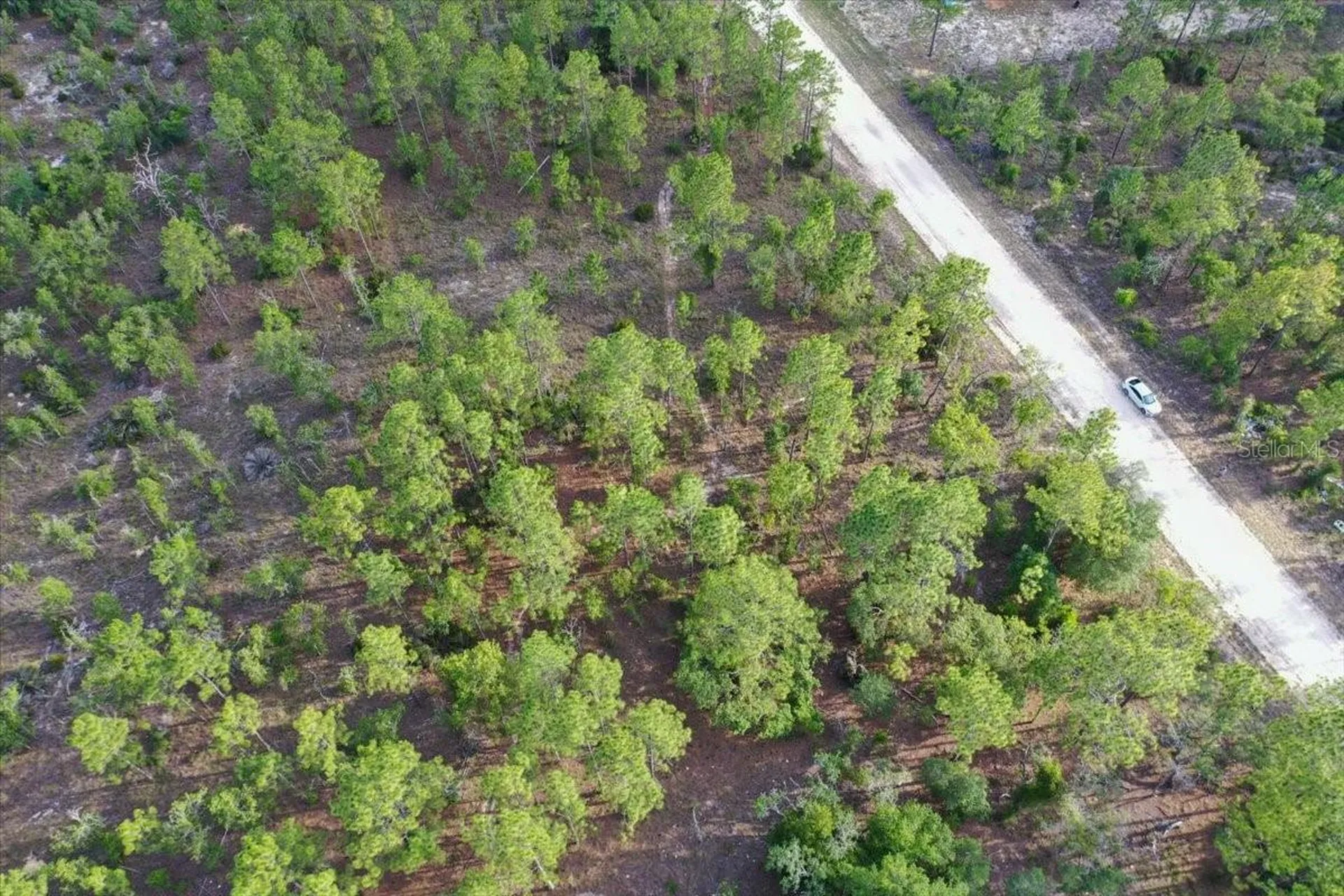 0000 NE 131 Lot 8 Terrace Williston FL 32696