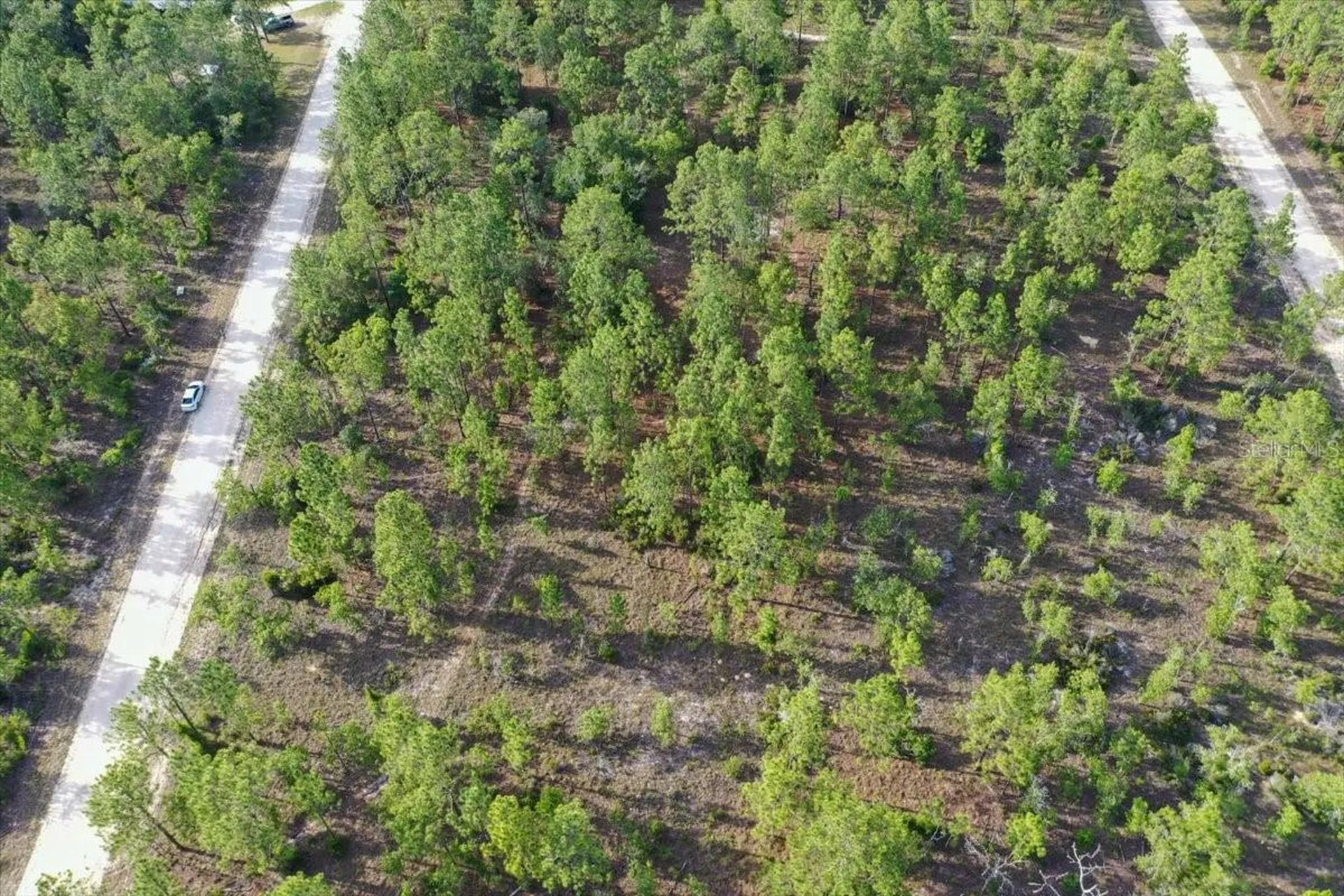 0000 NE 131 Lot 8 Terrace Williston FL 32696