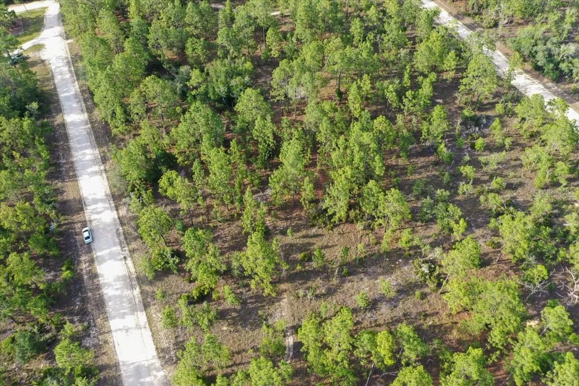 0000 NE 131 Lot 8 Terrace Williston FL 32696