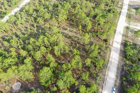 0000 NE 131 Lot 8 Terrace Williston FL 32696
