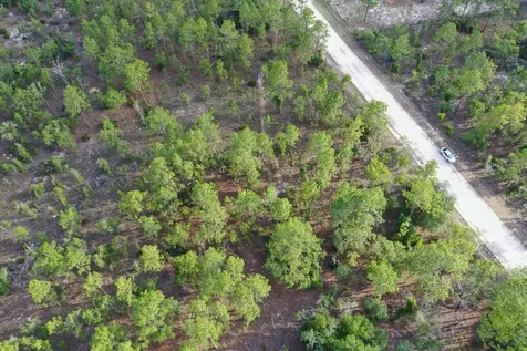 0000 NE 131 Lot 8 Terrace Williston FL 32696
