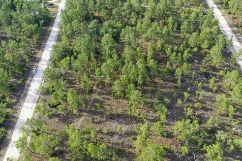 0000 NE 131 Lot 8 Terrace Williston FL 32696