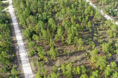 0000 NE 131 Lot 8 Terrace Williston FL 32696