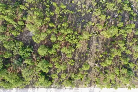 0000 NE 131 Lot 8 Terrace Williston FL 32696