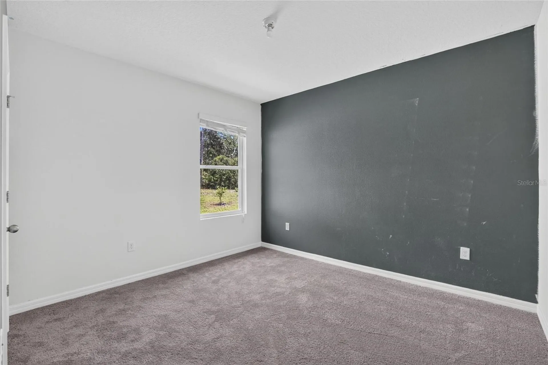 16441 Treasure Point Drive Wimauma FL 33598