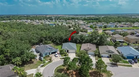 16441 Treasure Point Drive Wimauma FL 33598