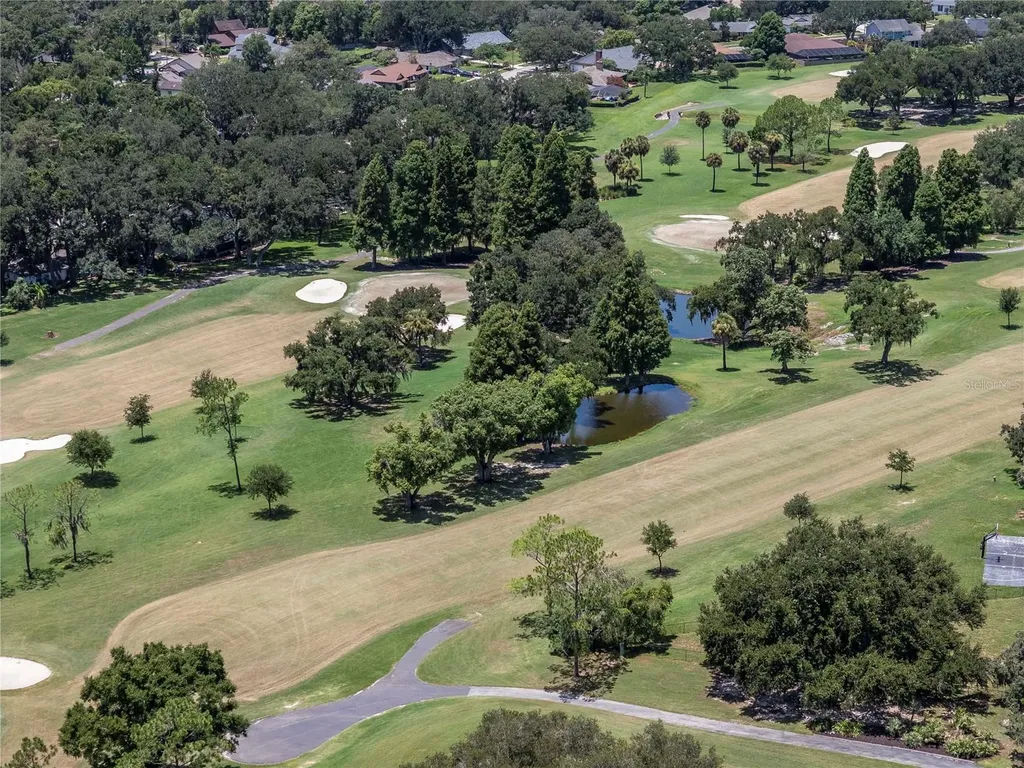 2608 Berryvine Place Valrico FL 33596