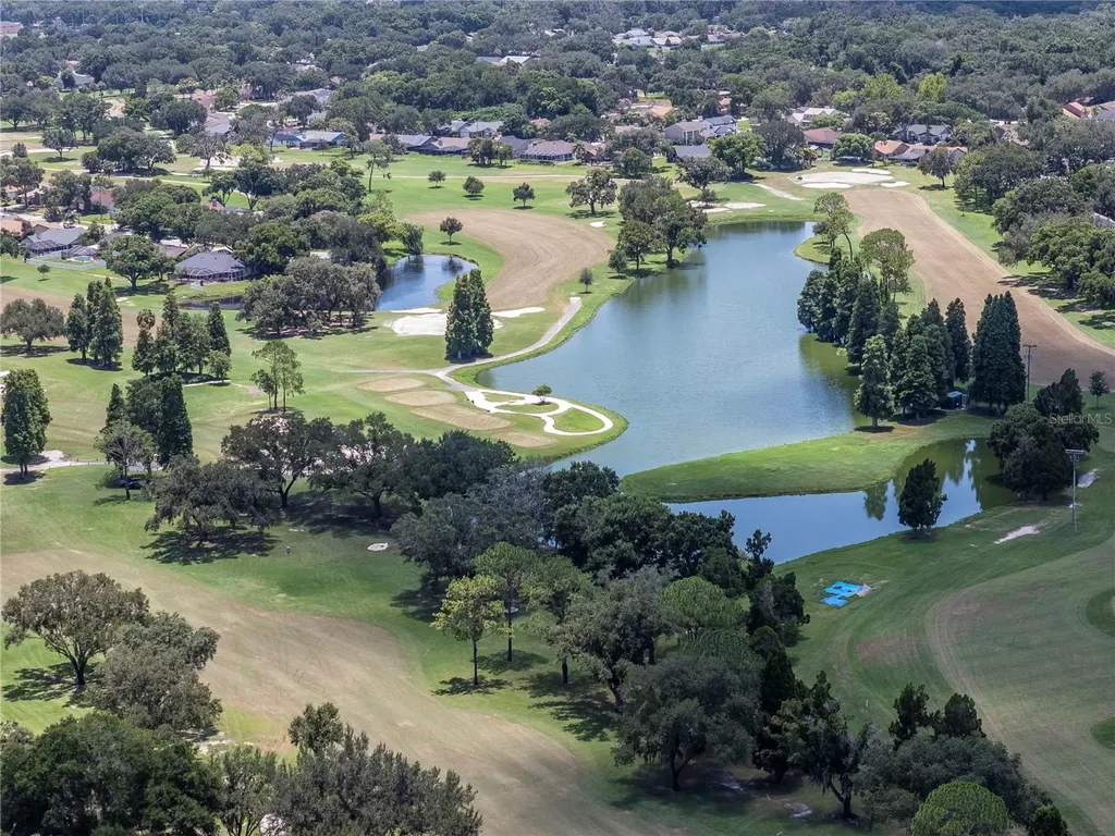 2608 Berryvine Place Valrico FL 33596