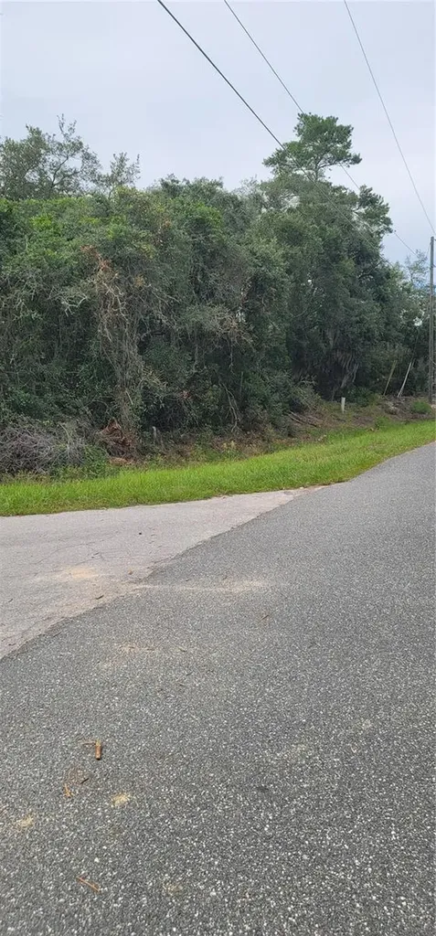Lot 15 Olive Way Ocala FL 34472