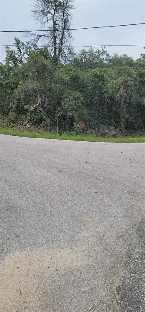 Lot 15 Olive Way Ocala FL 34472