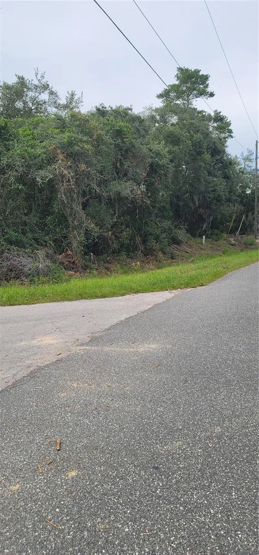 Lot 15 Olive Way Ocala FL 34472