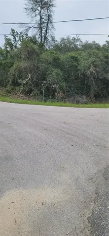 Lot 15 Olive Way Ocala FL 34472