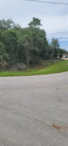 Lot 15 Olive Way Ocala FL 34472