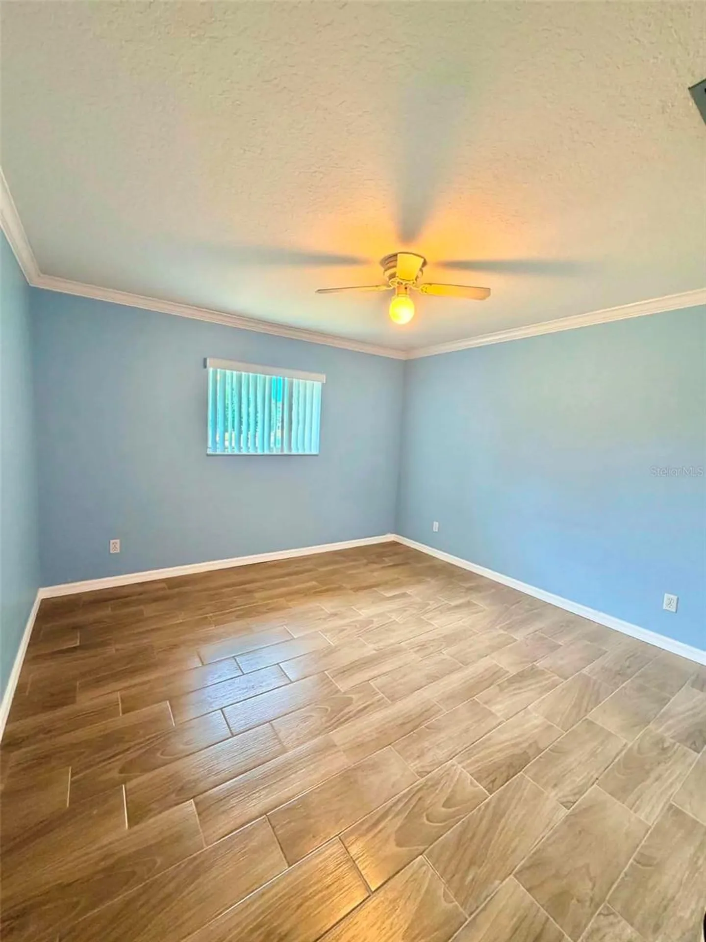 5647 Dalton Court New Port Richey FL 34655