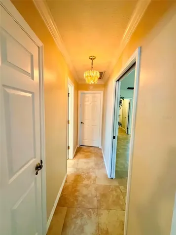 5647 Dalton Court New Port Richey FL 34655