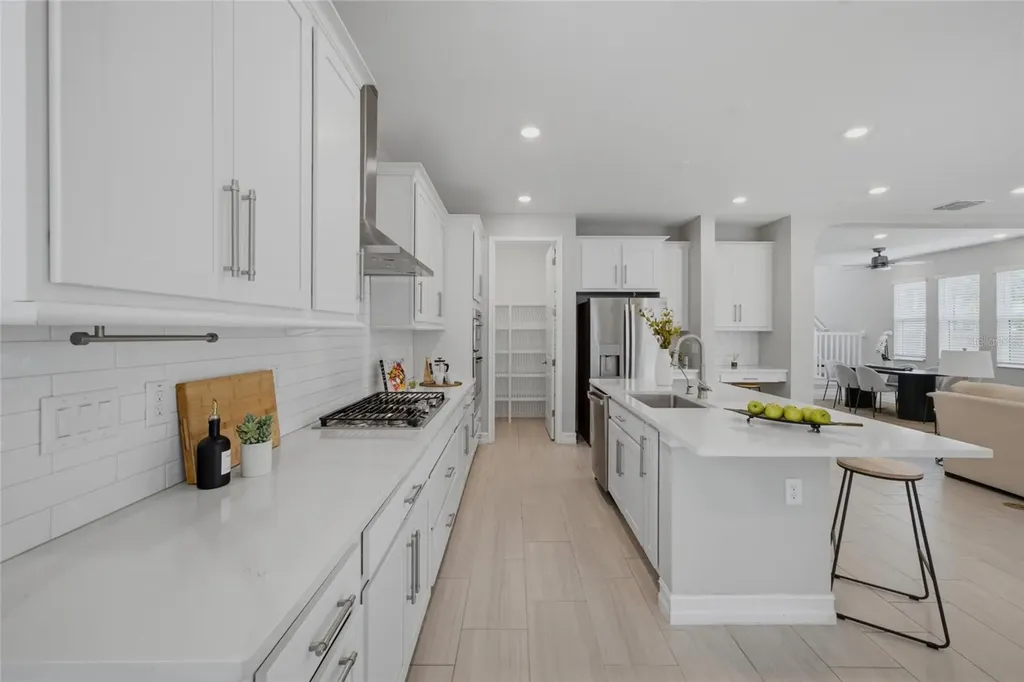 4667 San Martino Drive Wesley Chapel FL 33543