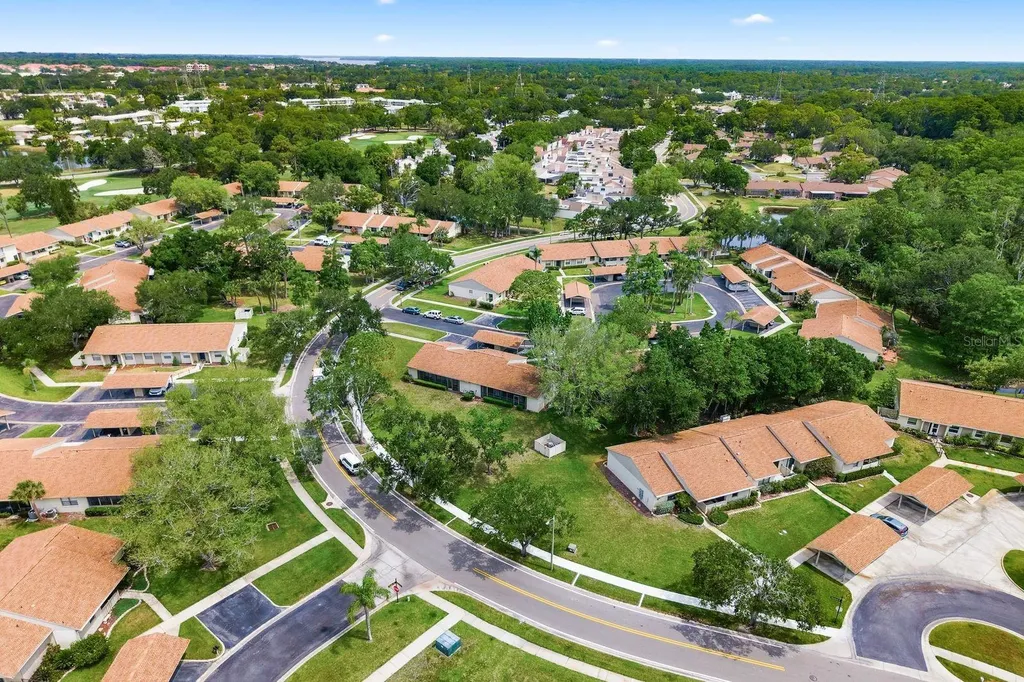20 Evelyn Court Oldsmar FL 34677