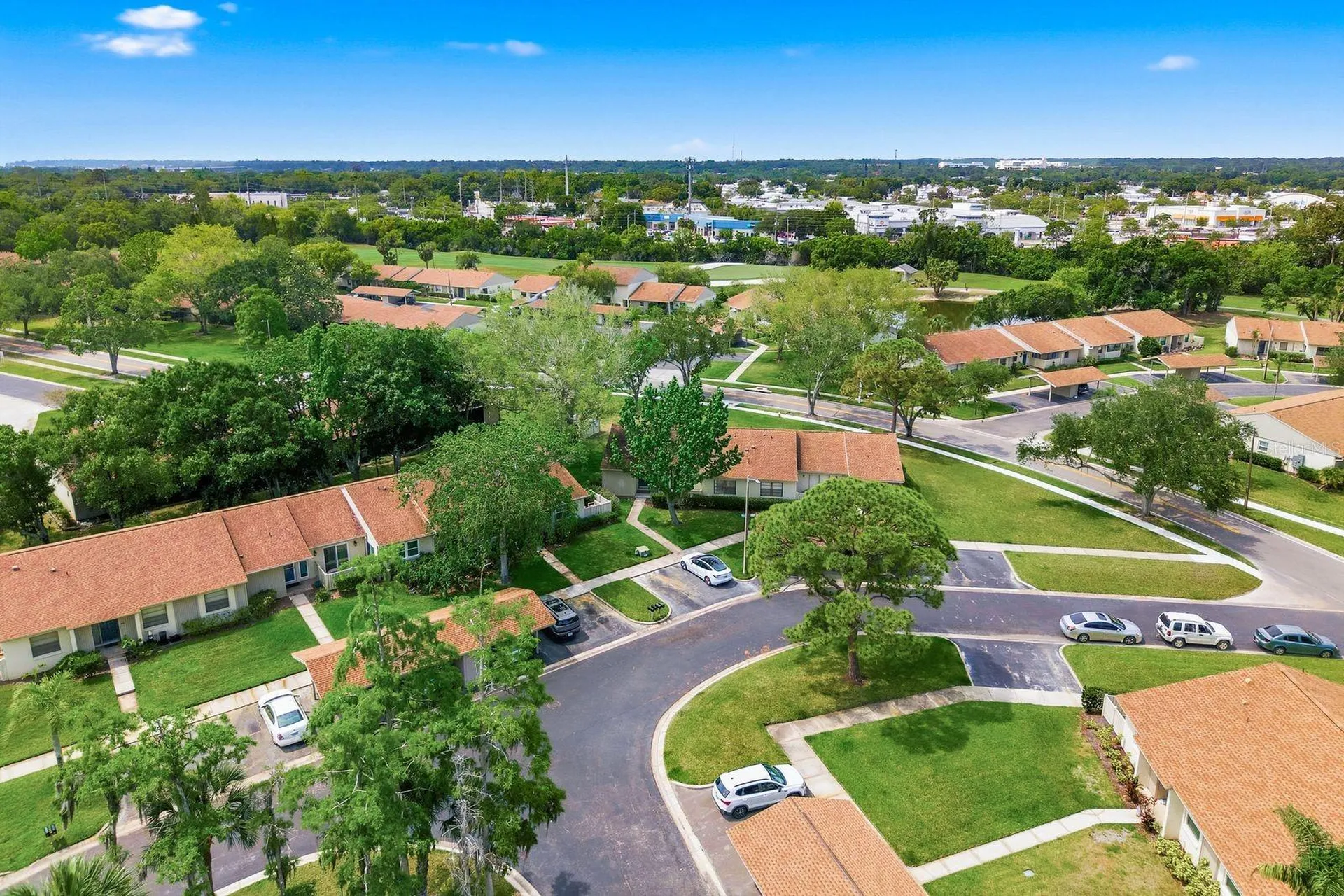 20 Evelyn Court Oldsmar FL 34677