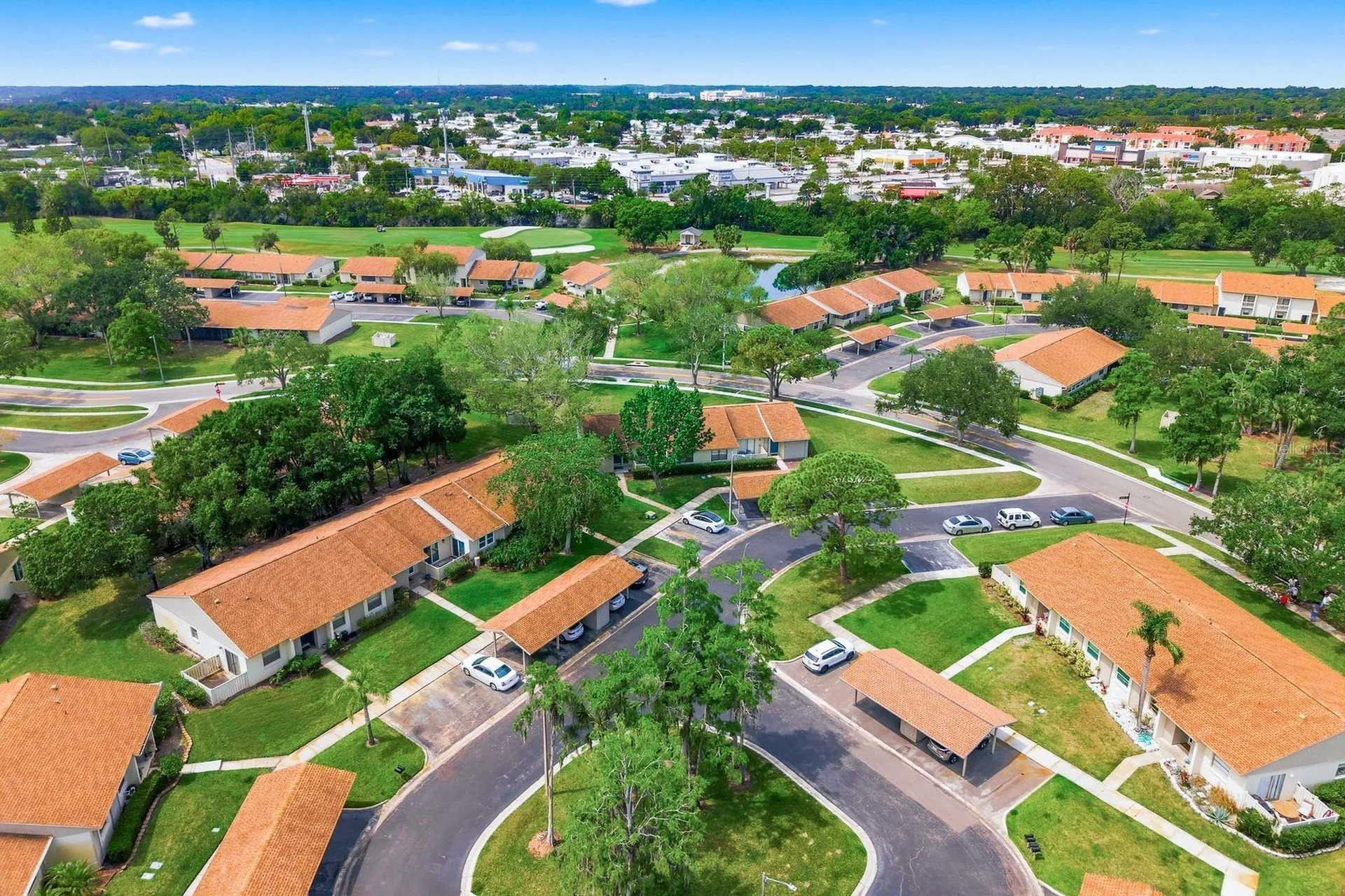 20 Evelyn Court Oldsmar FL 34677