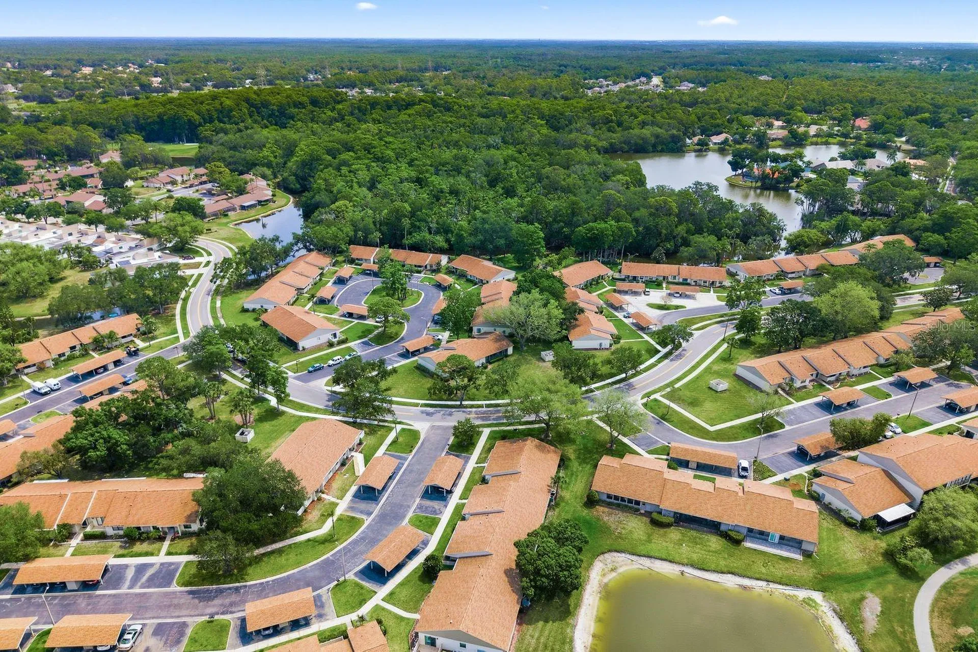 20 Evelyn Court Oldsmar FL 34677