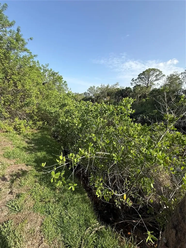 515 Ramblewood Street Port Charlotte FL 33953