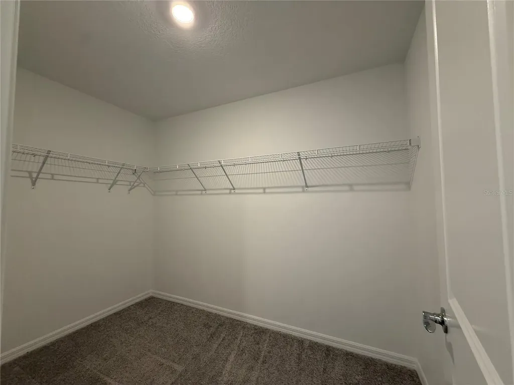 3595 Ivy Springs Lane Land O Lakes FL 34638