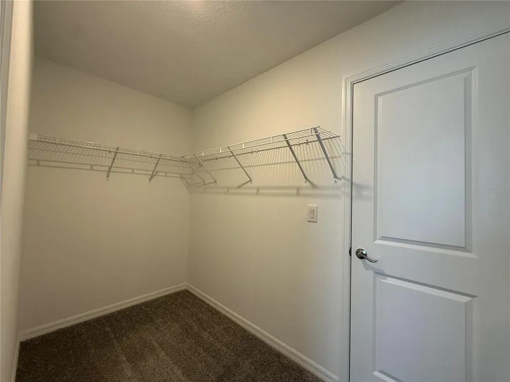 3595 Ivy Springs Lane Land O Lakes FL 34638