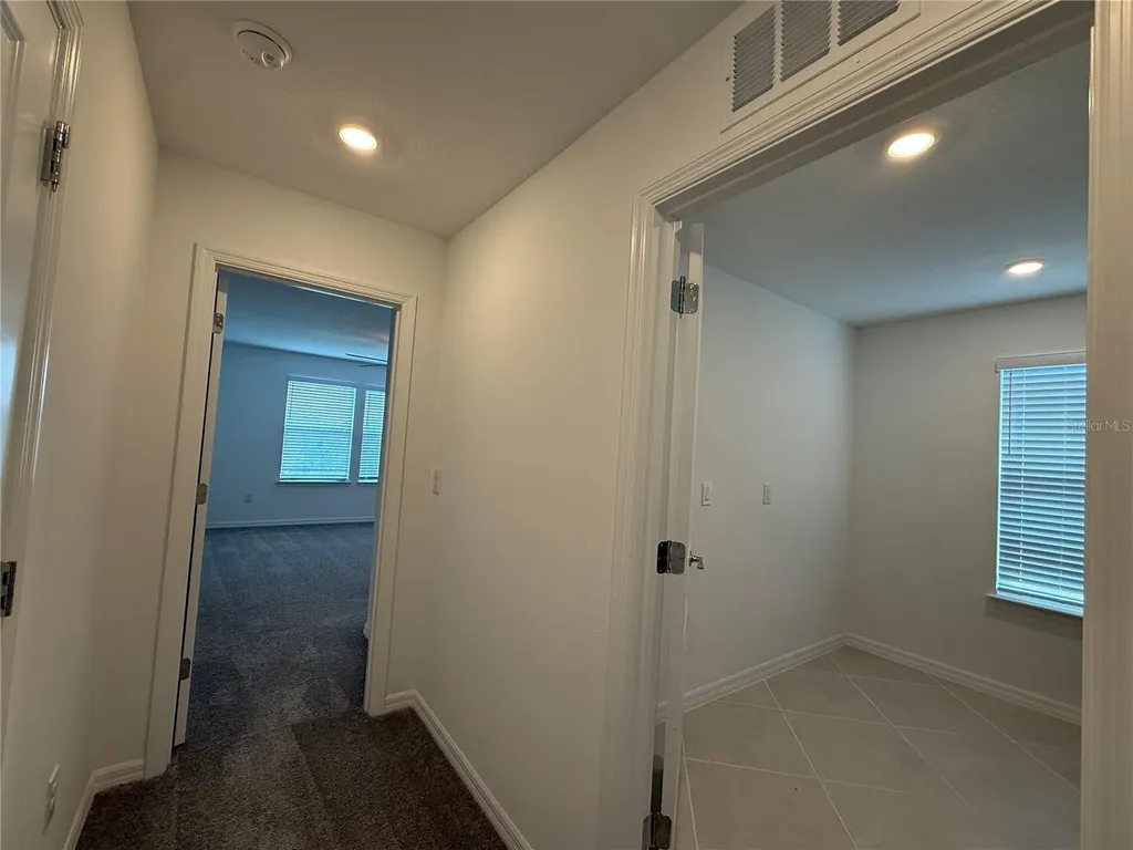 3595 Ivy Springs Lane Land O Lakes FL 34638