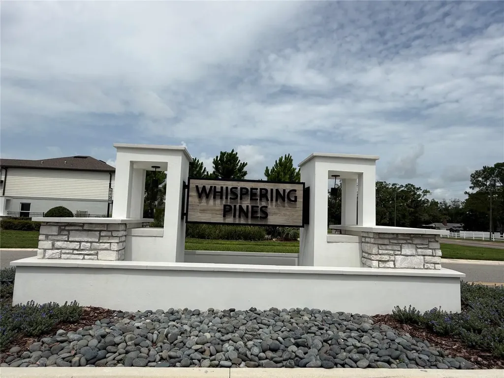 3595 Ivy Springs Lane Land O Lakes FL 34638