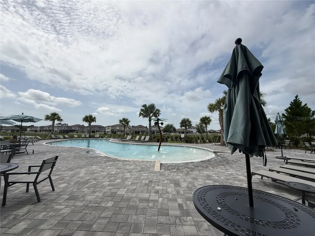 3595 Ivy Springs Lane Land O Lakes FL 34638