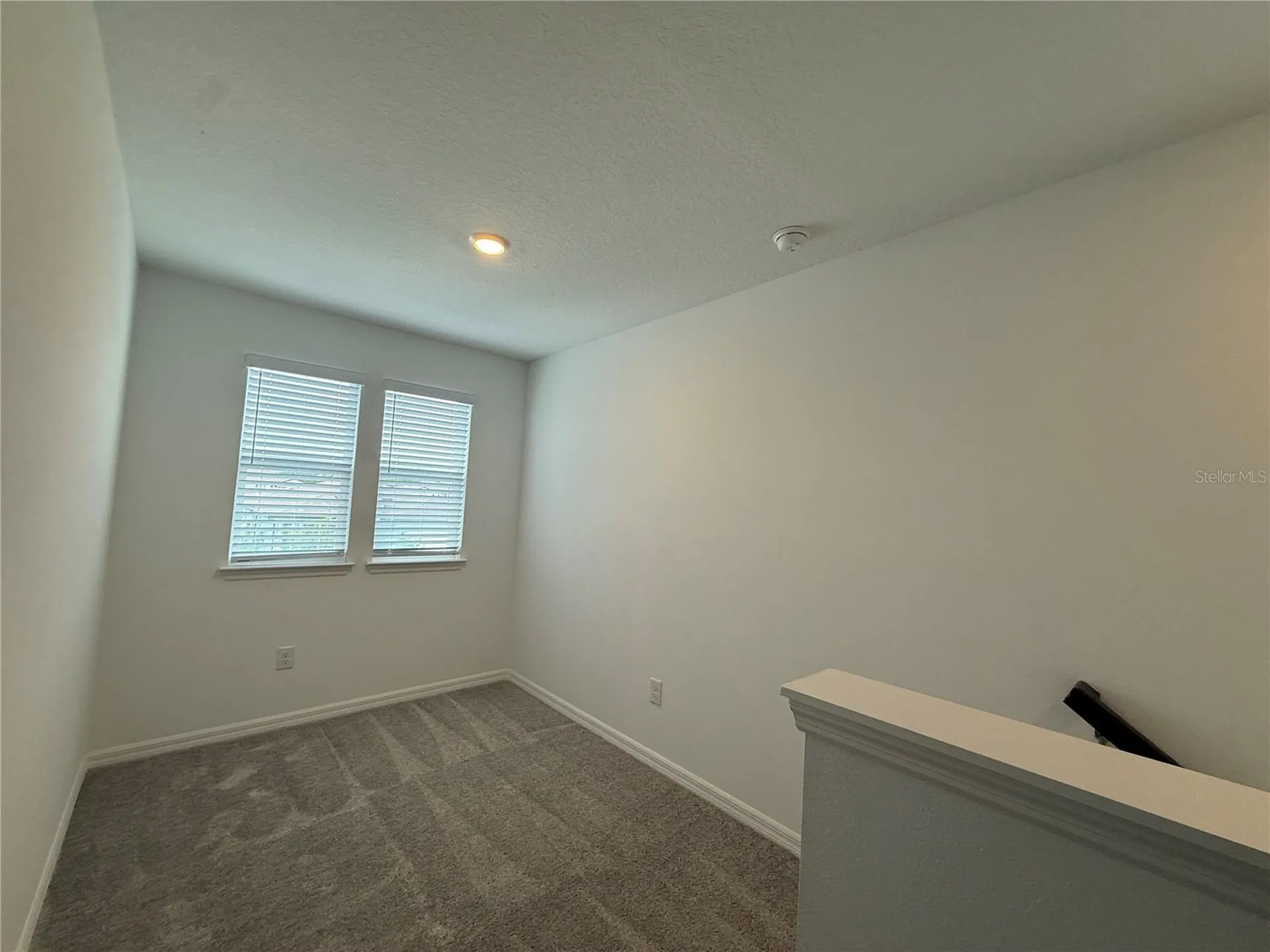 3595 Ivy Springs Lane Land O Lakes FL 34638