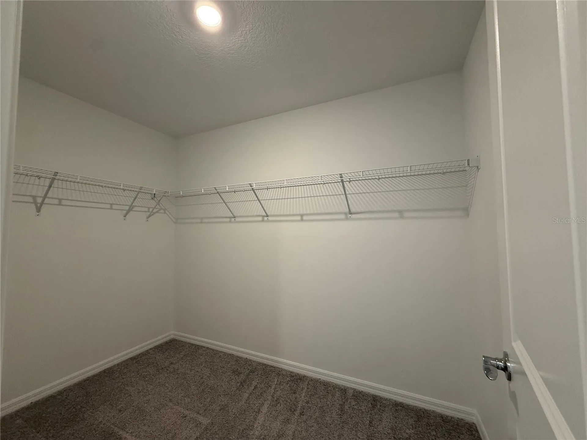 3595 Ivy Springs Lane Land O Lakes FL 34638