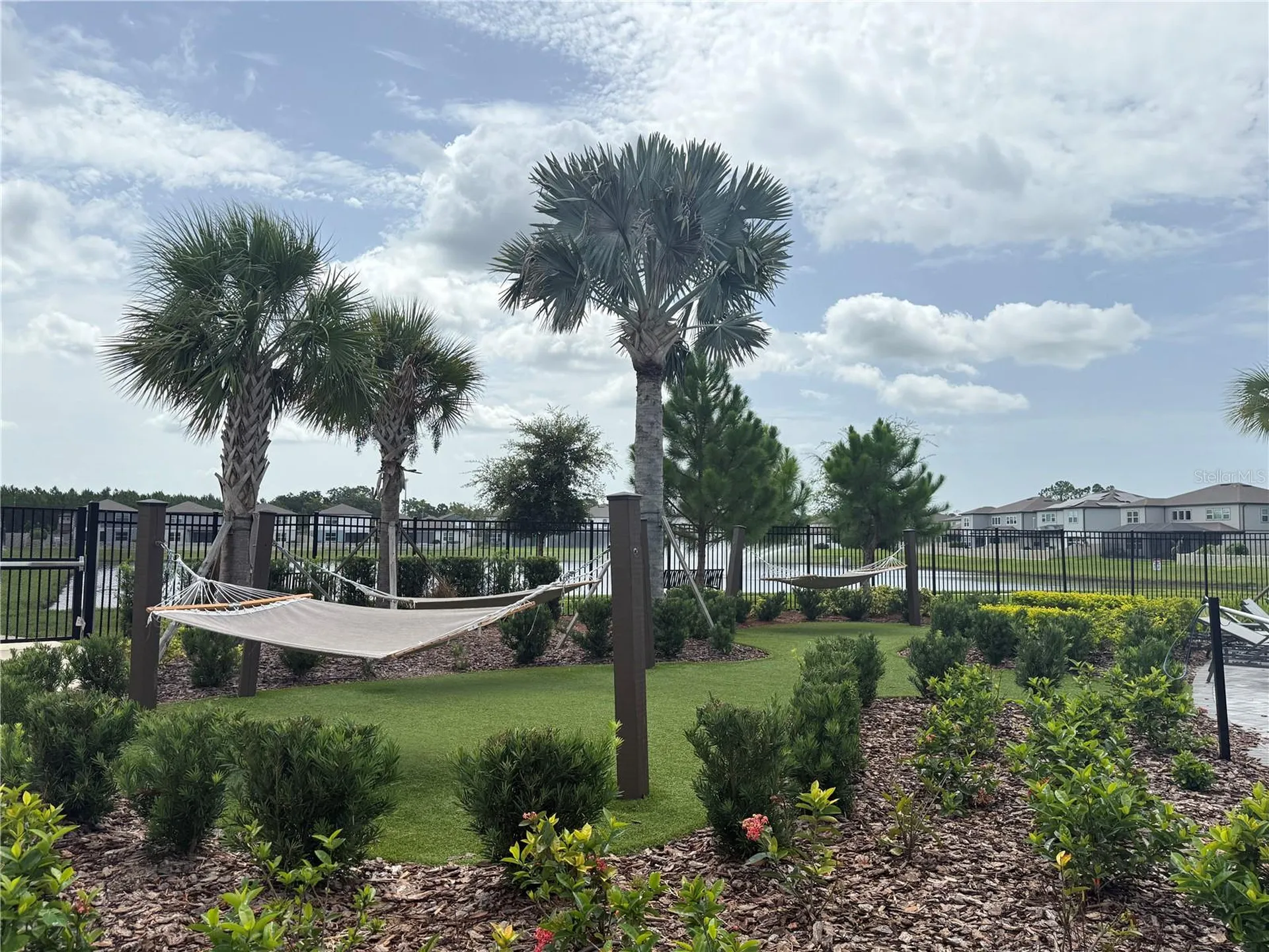 3595 Ivy Springs Lane Land O Lakes FL 34638