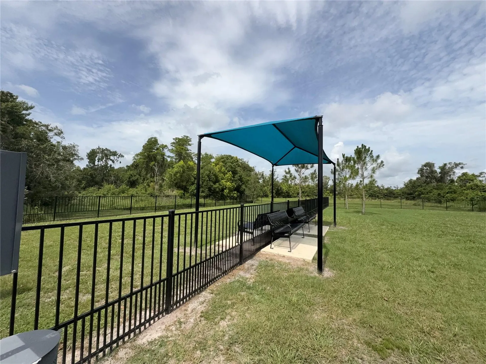3595 Ivy Springs Lane Land O Lakes FL 34638